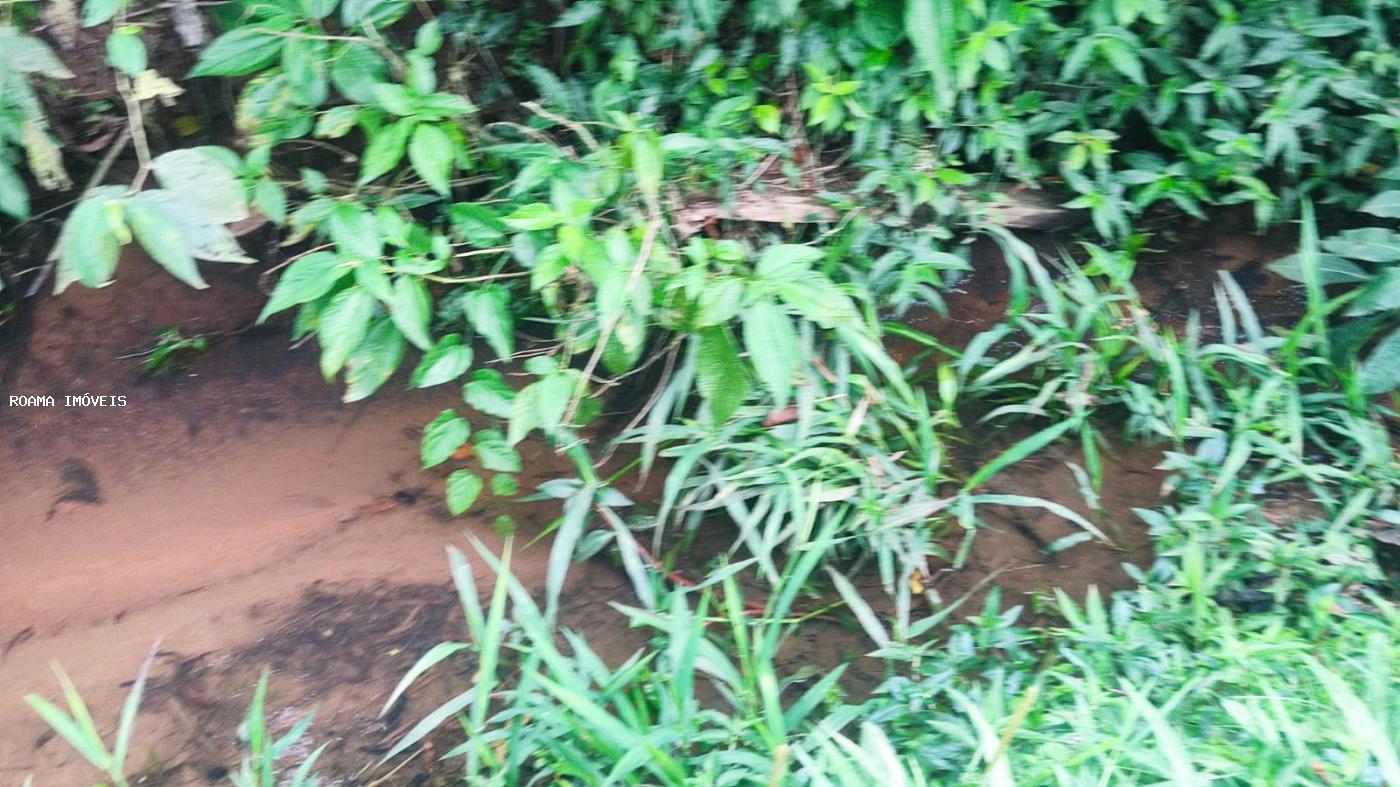 Sítio, 3 quartos, 12 hectares - Foto 18